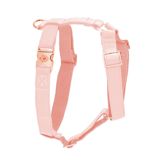 Baby Pink Harness